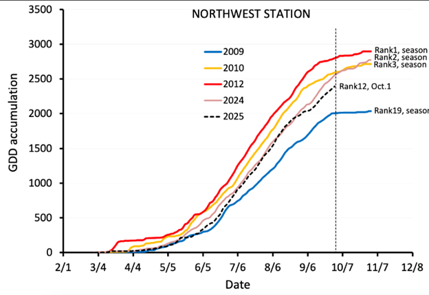 Line graph titled “NORTHWEST STATION” showing Growing Degree Day (GDD) accumulation over time from February 1 to December 8. The y-axis ranges from 0 to 3,500 GDD. Multiple years are plotted: 2009 (blue), 2010 (yellow), 2012 (red), 2024 (gray), and 2025 (dashed black). The 2009 line is consistently lowest, ending near 2,100 GDD (Rank 19, season). The 2012 line is the highest, leveling off just above 3,000 GDD (Rank 1, season), followed closely by 2010 (Rank 2) and 2024 (Rank 3). The 2025 dashed line runs below 2024 but near the middle, labeled “Rank 12, Oct. 1.” A vertical dashed line marks October 7. The graph highlights how 2025 tracks slightly below the recent high-accumulation years but well above 2009.